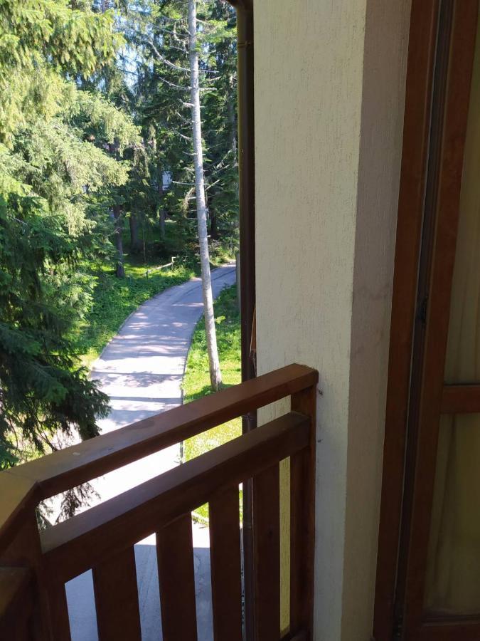 Boutique Residence Borovets Dış mekan fotoğraf